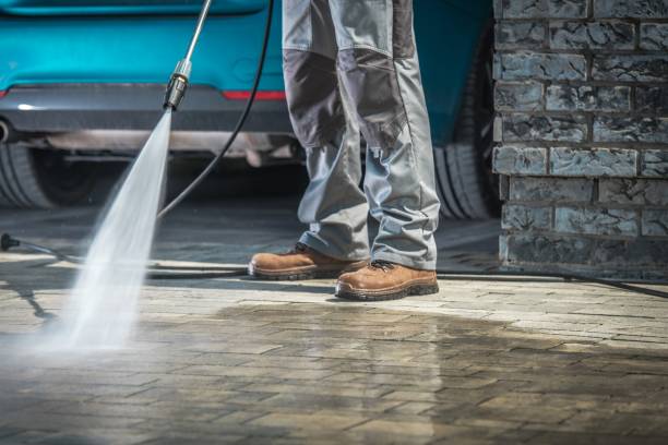 Best Gutter Cleaning and Brightening in Westvle, IL